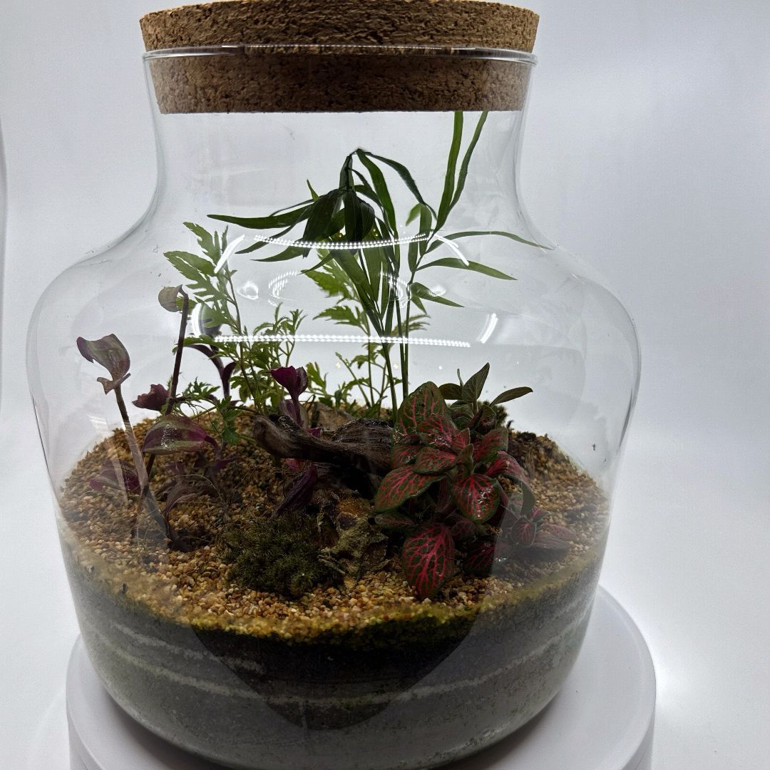 Vivarium