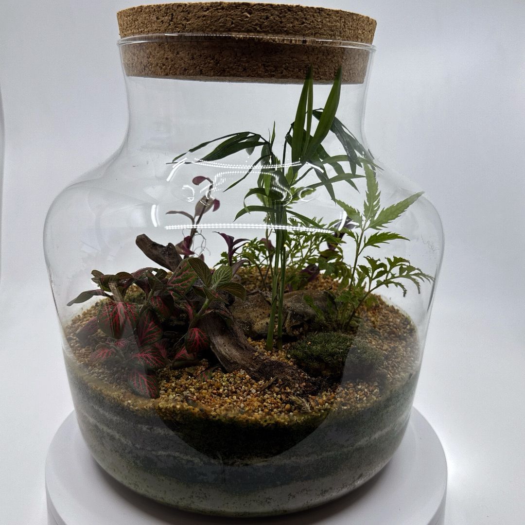 Ecosiarium