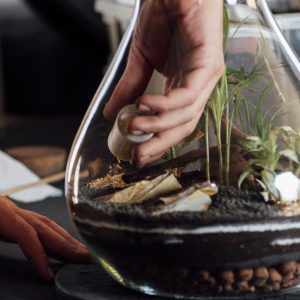Kit DIY. Construye tu terrario paso a paso.