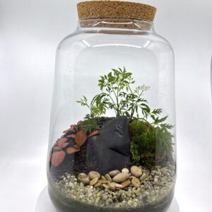 Ecosistema_cerrado_de_plantas