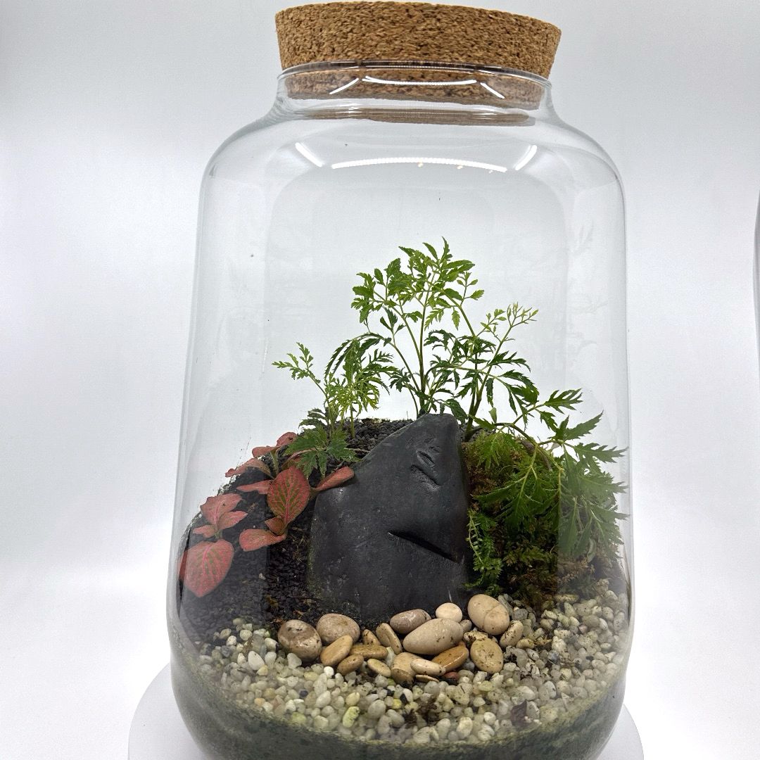 Ecosistema_cerrado_de_plantas