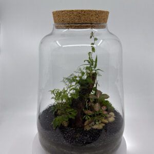 Terrarium