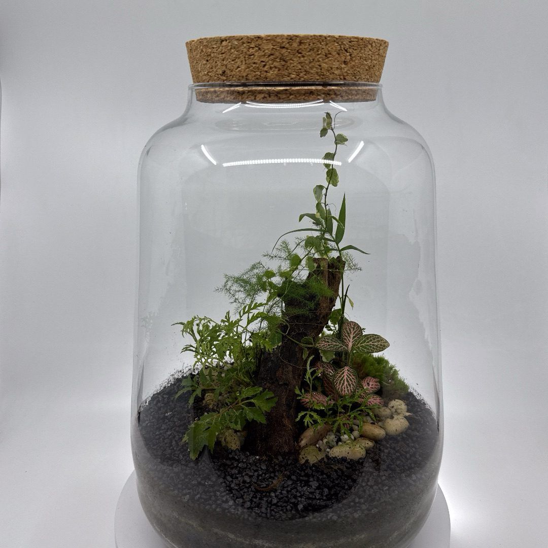 Terrarium