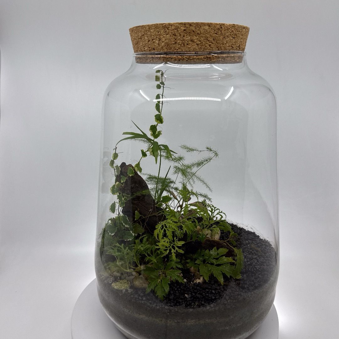 Interiorismo-botánico