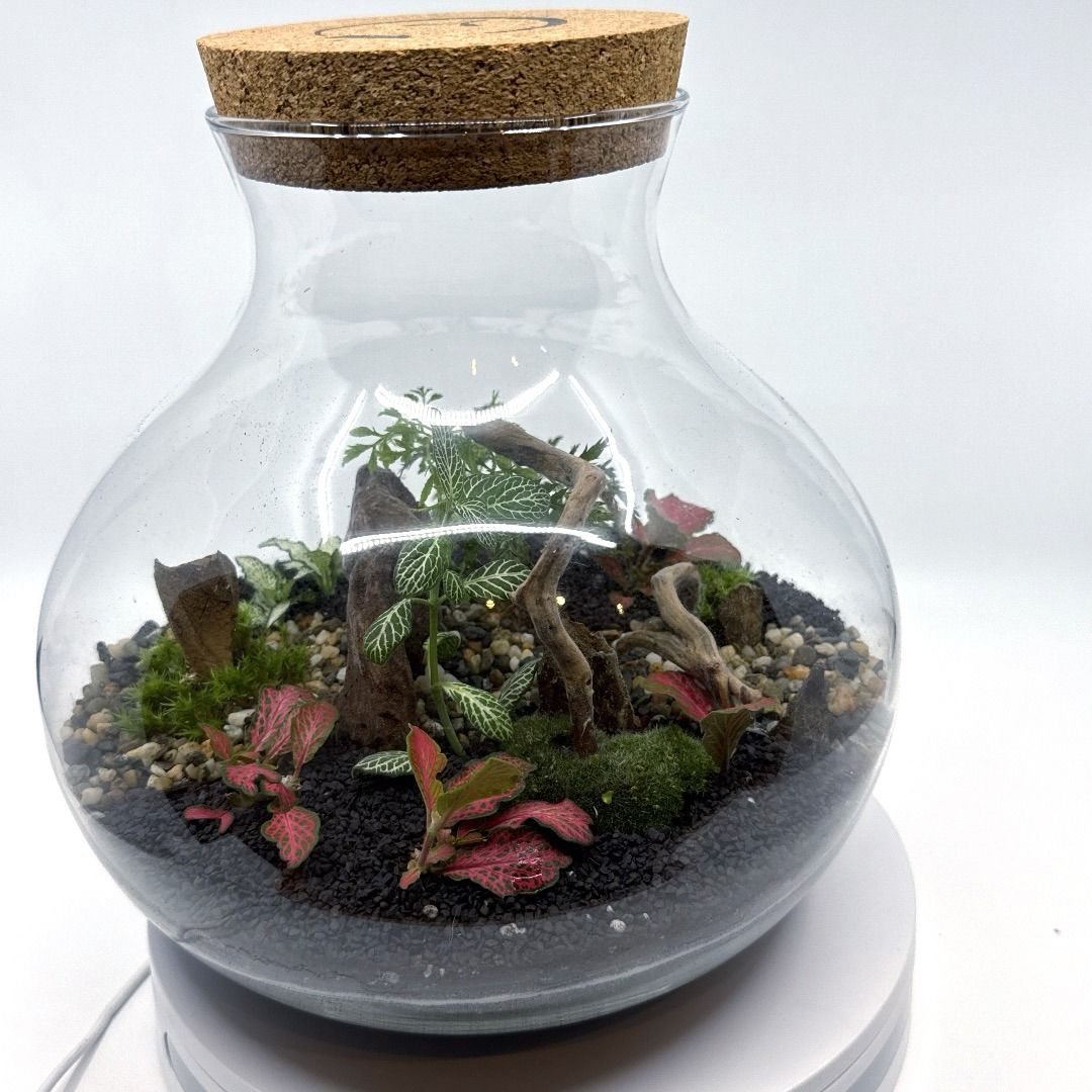 Plantas-autónomas